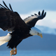 Image for article titled 74 Normal Photos And 2 Kinda Weird Ones